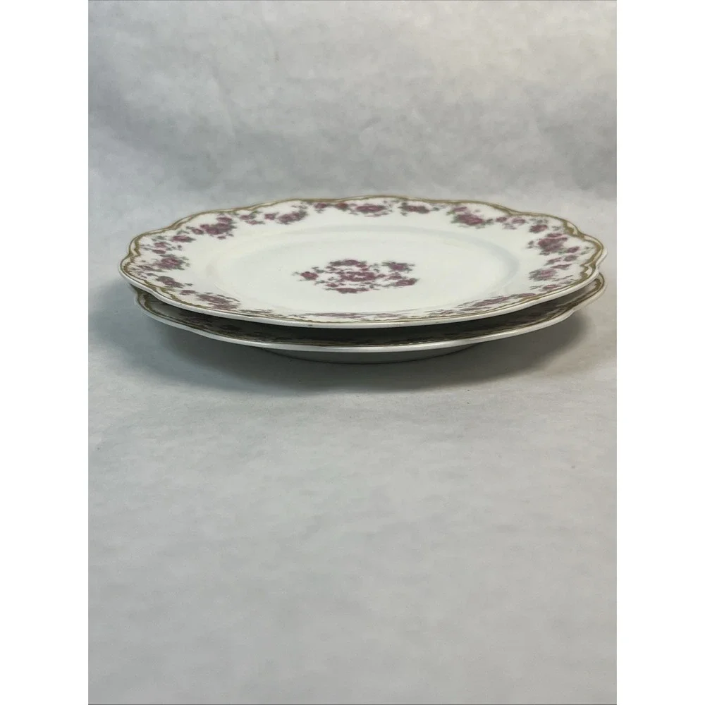 Haviland & Co Limoges Schleiger‎ 270 Salad Plates. 7.5